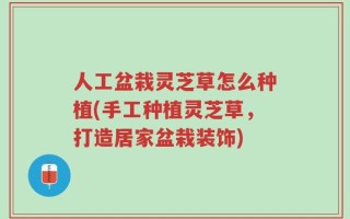 人工盆栽灵芝草怎么种植(手工种植灵芝草，打造居家盆栽装饰)