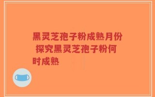 黑灵芝孢子粉成熟月份 探究黑灵芝孢子粉何时成熟