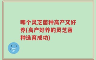 哪个灵芝菌种高产又好养(高产好养的灵芝菌种选育成功)