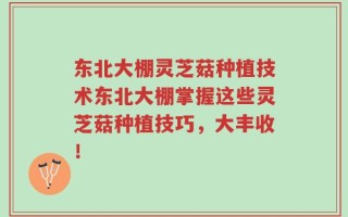 东北大棚灵芝菇种植技术东北大棚掌握这些灵芝菇种植技巧，大丰收！