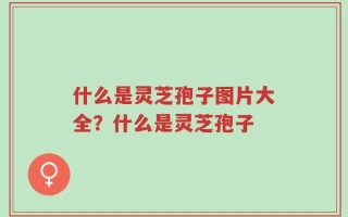 什么是灵芝孢子图片大全？什么是灵芝孢子