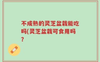 不成熟的灵芝盆栽能吃吗(灵芝盆栽可食用吗？