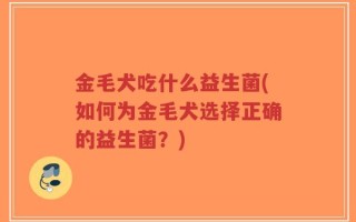 金毛犬吃什么益生菌(如何为金毛犬选择正确的益生菌？)