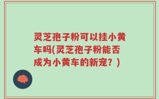 灵芝孢子粉可以挂小黄车吗(灵芝孢子粉能否成为小黄车的新宠？)