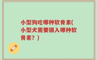 小型狗吃哪种软骨素(小型犬需要摄入哪种软骨素？)