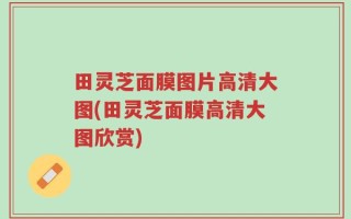 田灵芝面膜图片高清大图(田灵芝面膜高清大图欣赏)
