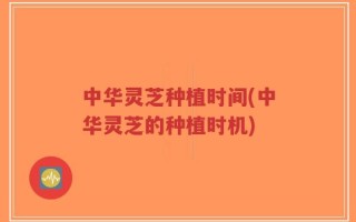 中华灵芝种植时间(中华灵芝的种植时机)