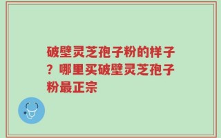 破壁灵芝孢子粉的样子？哪里买破壁灵芝孢子粉最正宗