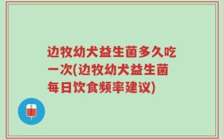 边牧幼犬益生菌多久吃一次(边牧幼犬益生菌每日饮食频率建议)