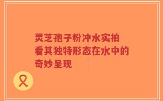 灵芝孢子粉冲水实拍 看其独特形态在水中的奇妙呈现