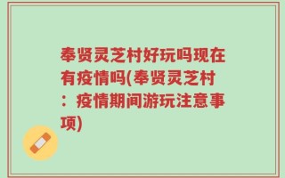 奉贤灵芝村好玩吗现在有疫情吗(奉贤灵芝村：疫情期间游玩注意事项)