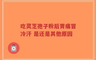 吃灵芝孢子粉后胃痛冒冷汗 是还是其他原因