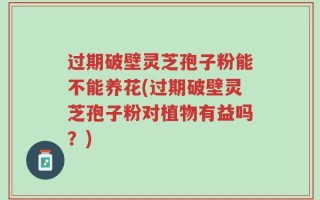 过期破壁灵芝孢子粉能不能养花(过期破壁灵芝孢子粉对植物有益吗？)