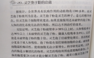直肠癌晚期吃灵芝孢子粉？对治疗有哪些帮助？