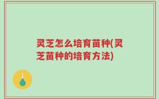 灵芝怎么培育苗种(灵芝苗种的培育方法)