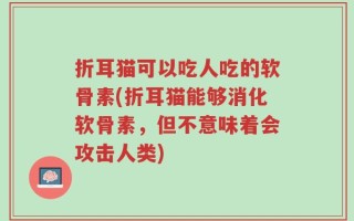 折耳猫可以吃人吃的软骨素(折耳猫能够消化软骨素，但不意味着会攻击人类)