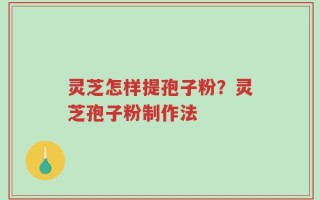 灵芝怎样提孢子粉？灵芝孢子粉制作法