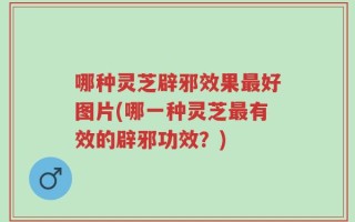 哪种灵芝辟邪效果最好图片(哪一种灵芝最有效的辟邪功效？)