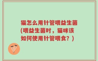 猫怎么用针管喂益生菌(喂益生菌时，猫咪该如何使用针管喂食？)