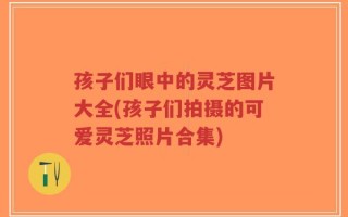 孩子们眼中的灵芝图片大全(孩子们拍摄的可爱灵芝照片合集)