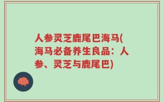 人参灵芝鹿尾巴海马(海马必备养生良品：人参、灵芝与鹿尾巴)