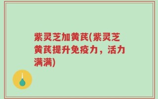 紫灵芝加黄芪(紫灵芝黄芪提升免疫力，活力满满)