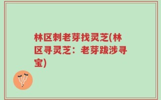 林区刺老芽找灵芝(林区寻灵芝：老芽跋涉寻宝)