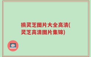 摘灵芝图片大全高清(灵芝高清图片集锦)