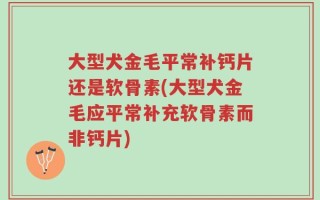 大型犬金毛平常补钙片还是软骨素(大型犬金毛应平常补充软骨素而非钙片)