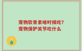 宠物软骨素啥时候吃？宠物保护关节吃什么