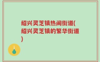 绍兴灵芝镇热闹街道(绍兴灵芝镇的繁华街道)