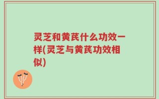 灵芝和黄芪什么功效一样(灵芝与黄芪功效相似)