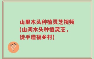 山里木头种植灵芝视频(山间木头种植灵芝，徒手造福乡村)