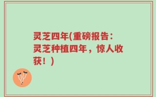 灵芝四年(重磅报告：灵芝种植四年，惊人收获！)