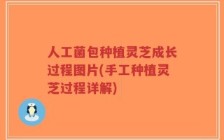人工菌包种植灵芝成长过程图片(手工种植灵芝过程详解)