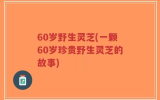 60岁野生灵芝(一颗60岁珍贵野生灵芝的故事)