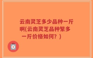 云南灵芝多少品种一斤啊(云南灵芝品种繁多 一斤价格如何？)