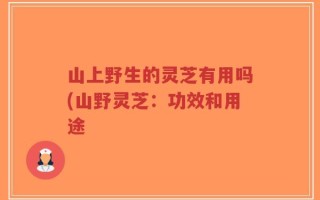山上野生的灵芝有用吗(山野灵芝：功效和用途