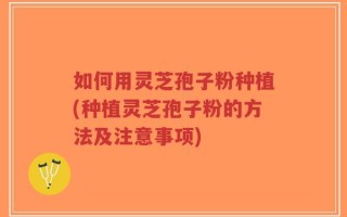 如何用灵芝孢子粉种植(种植灵芝孢子粉的方法及注意事项)