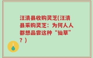 汪清县收购灵芝(汪清县采购灵芝：为何人人都想品尝这种“仙草”？)