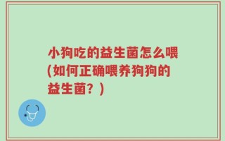 小狗吃的益生菌怎么喂(如何正确喂养狗狗的益生菌？)