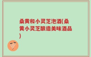 桑黄和小灵芝泡酒(桑黄小灵芝酿造美味酒品)