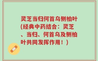 灵芝当归何首乌侧柏叶(经典中药结合：灵芝、当归、何首乌及侧柏叶共同发挥作用！)