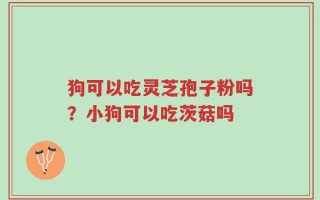 狗可以吃灵芝孢子粉吗？小狗可以吃茨菇吗