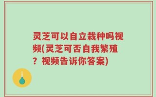 灵芝可以自立栽种吗视频(灵芝可否自我繁殖？视频告诉你答案)