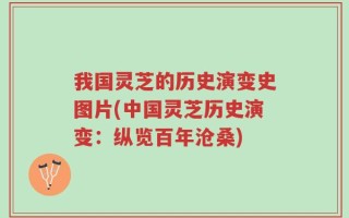 我国灵芝的历史演变史图片(中国灵芝历史演变：纵览百年沧桑)
