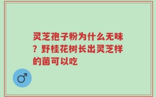 灵芝孢子粉为什么无味？野桂花树长出灵芝样的菌可以吃