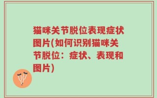 猫咪关节脱位表现症状图片(如何识别猫咪关节脱位：症状、表现和图片)