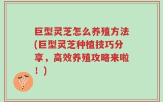 巨型灵芝怎么养殖方法(巨型灵芝种植技巧分享，高效养殖攻略来啦！)