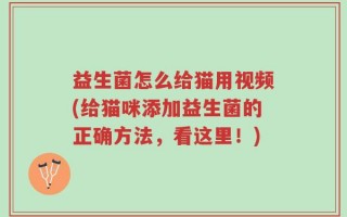 益生菌怎么给猫用视频(给猫咪添加益生菌的正确方法，看这里！)